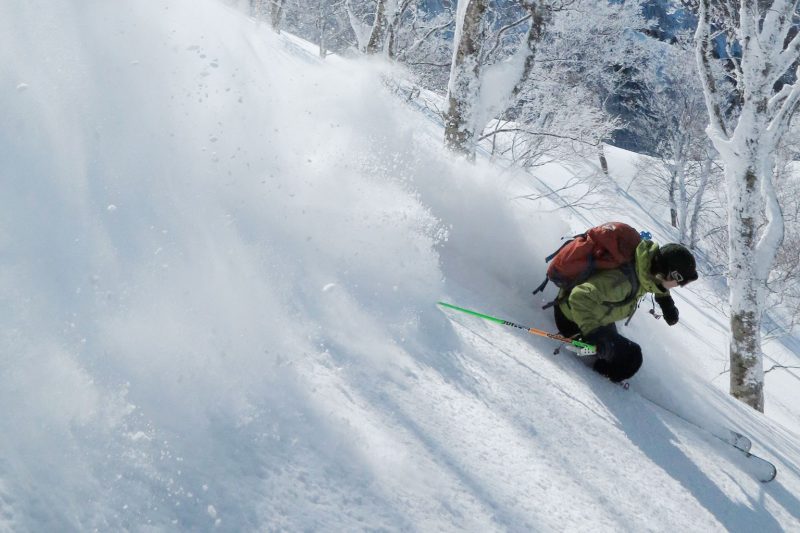 Shiga Kogen Ski Resort Guides, Shiga Kogen Powder Guides